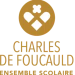 logo-ensemble-scolaire-charles-de-foucauld-lycee-saint-jean-limoges-alterlim